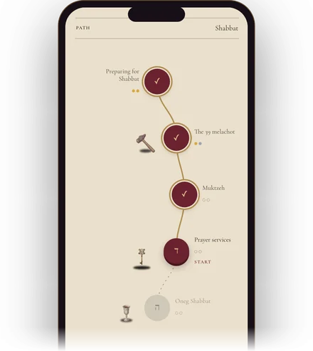 The study path